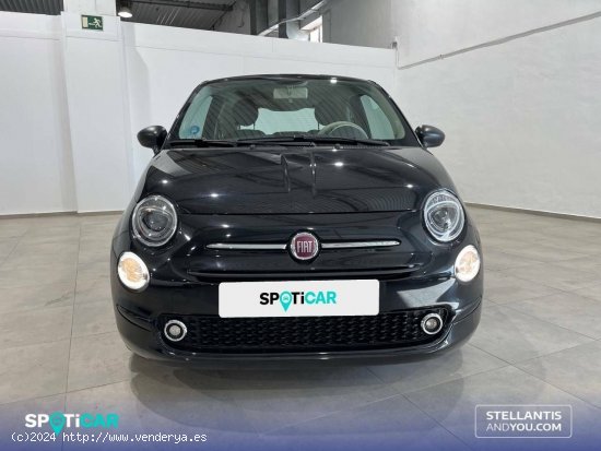 Fiat 500   1.0 Hybrid 51KW (70 CV) Dolcevita - Granada