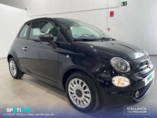 Fiat 500   1.0 Hybrid 51KW (70 CV) Dolcevita - Granada