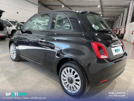 Fiat 500   1.0 Hybrid 51KW (70 CV) Dolcevita - Granada