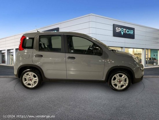 Fiat Panda   Hybrid 1.0 Gse 51kw (70CV) City Life - SABADELL