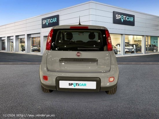 Fiat Panda  Panda Hybrid 1.0 51kw+Pack Comfort Plus - - SABADELL