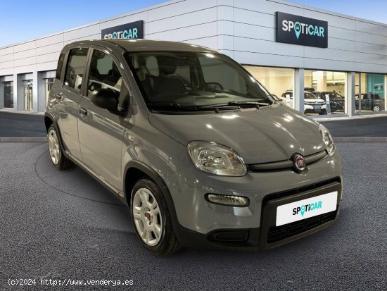 Fiat Panda  Panda Hybrid 1.0 51kw+Pack Comfort Plus - - SABADELL