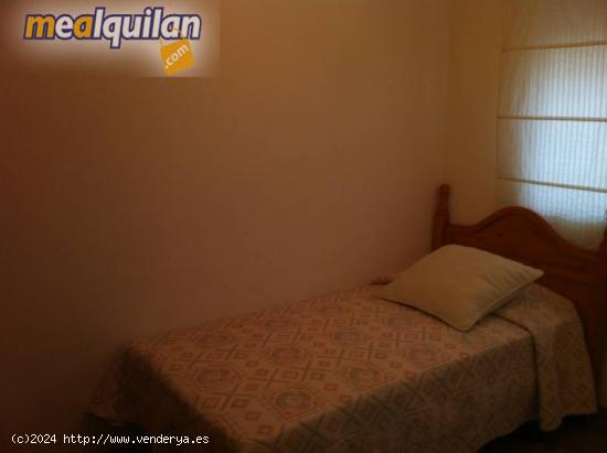 DUPLEX EN MURCIA-JUAN CARLOS I. - MURCIA