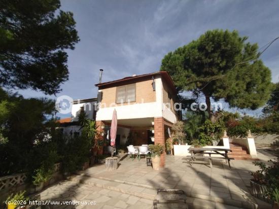  CAHLET RÚSTICO CON 2 VIVIENDAS , PISCINA Y 40.000M2 DE TERRENO EN MONFORTE DEL CID. - ALICANTE 