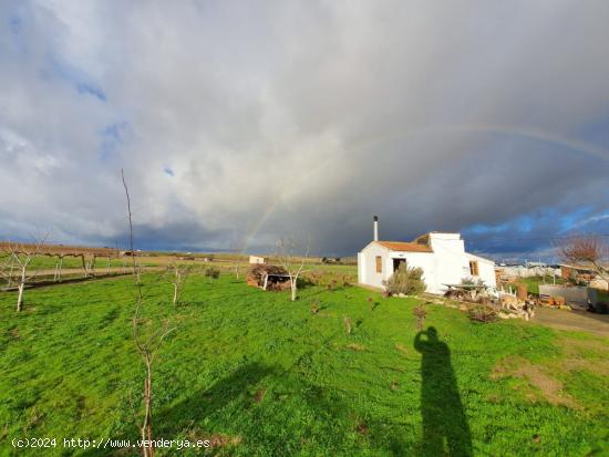  FINCA RUSTICA CON EDIFICACION EN EL PERDIGON - ZAMORA 