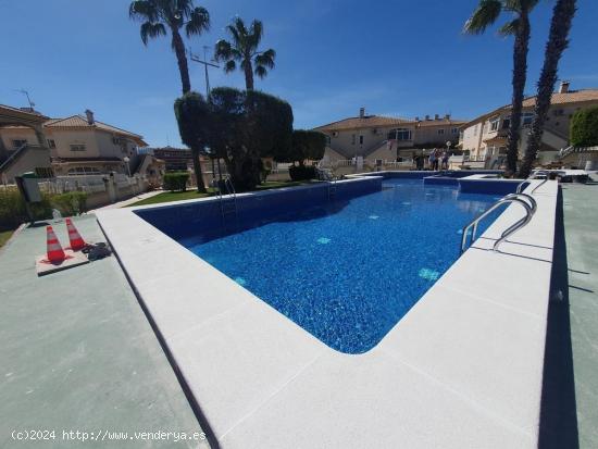 TORRELAMATA BUNGALOW ALTO 2 HABS VISTAS MAR PISCINA 129.900 EUROS. - ALICANTE