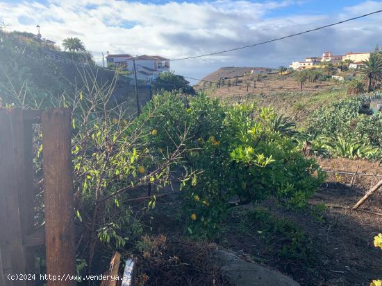 CASA A REFORMAR CON TERRENO EN ALAJERÓ - LA GOMERA - SANTA CRUZ DE TENERIFE