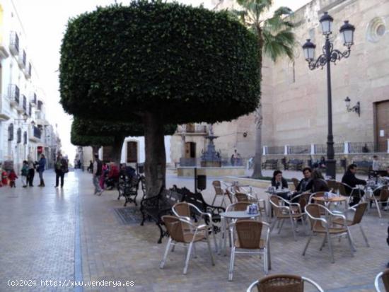 ALQUILER ANUAL. CENTRO DE VERA - ALMERIA