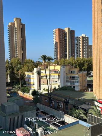 PISO REFORMADO CON LICENCIA TURISTICA EN LA PLAYA DE LEVANTE EN BENIDORM - ALICANTE