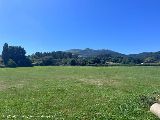 TERRENO EN GURIEZO - CANTABRIA