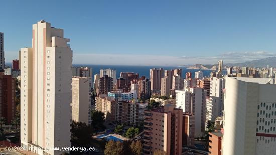  FANTASTICO APARTAMENTO DE UN DORMITORIO REFORMADO CON PARKING PISCINA Y VISTAS AL MAR - ALICANTE 