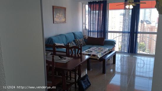 FANTASTICO APARTAMENTO DE UN DORMITORIO REFORMADO CON PARKING PISCINA Y VISTAS AL MAR - ALICANTE