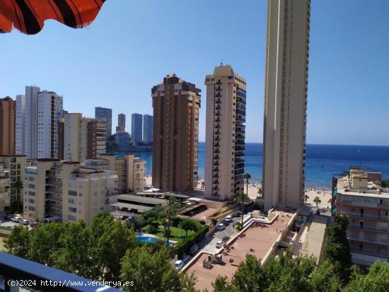 Precioso estudio totalmente reformado con vistas al mar a un paso de playa Levante. - ALICANTE