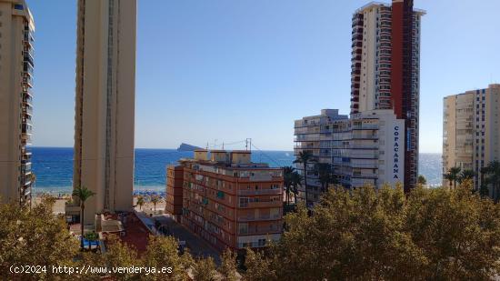 Precioso estudio totalmente reformado con vistas al mar a un paso de playa Levante. - ALICANTE