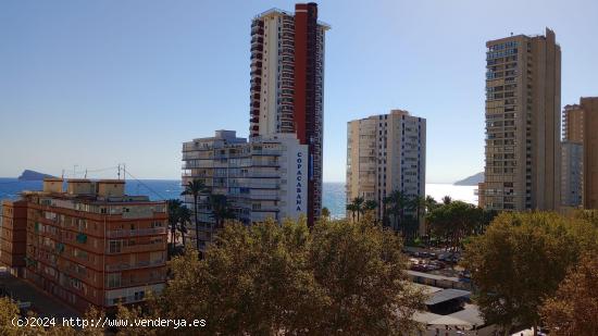 Precioso estudio totalmente reformado con vistas al mar a un paso de playa Levante. - ALICANTE