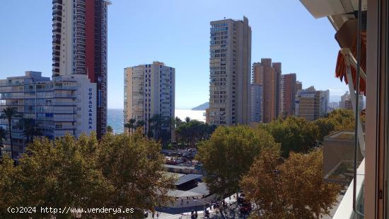 Precioso estudio totalmente reformado con vistas al mar a un paso de playa Levante. - ALICANTE