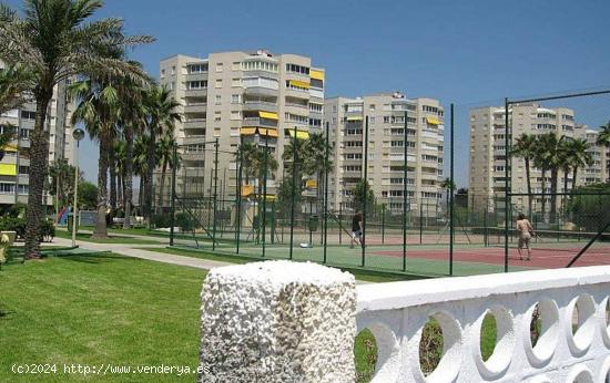 MARAVILLOSA VIVIENDA DE UN DORMITORIO FRENTE AL MAR EN URBANOVA - ALICANTE