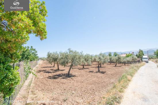  Finca rustica de riego!! - GRANADA 