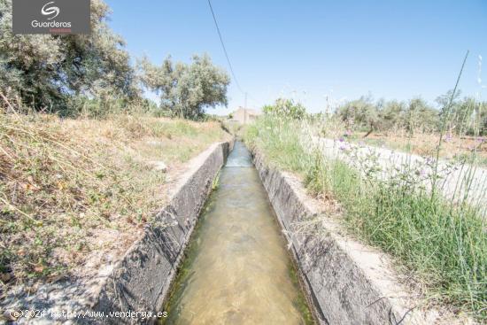 Finca rustica de riego!! - GRANADA