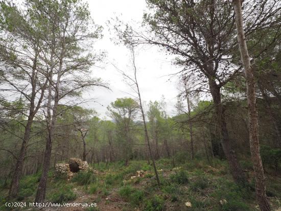 SE VENDE TERRENO RUSTICO EN SANT PERE DE RIBES - BARCELONA