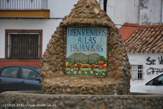 Parcela urbana en las Pajanosas - SEVILLA