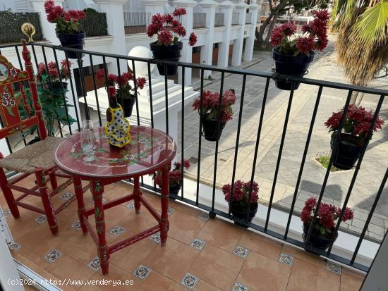 VIVIENDA INDEPENDIENTE EN LA PLAZA DE LAS INFANTAS. - CADIZ