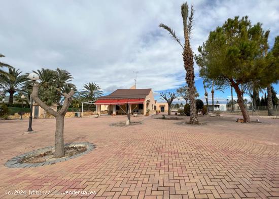 CHALET EN ZONA PERLETA - ELCHE - ALICANTE