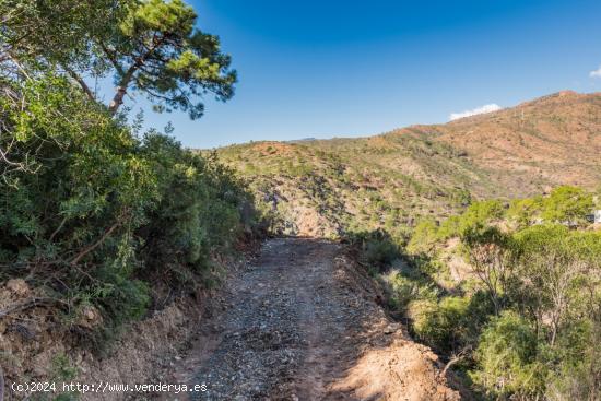 Plot C26 In Montemayor - MALAGA