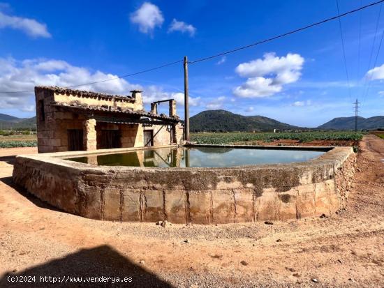  Finca rústica Sa Pobla - BALEARES 