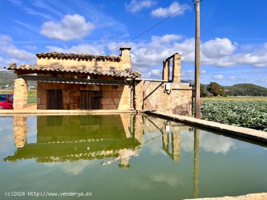 Finca rústica Sa Pobla - BALEARES