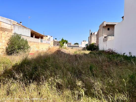 Solar en Sa Pobla - BALEARES