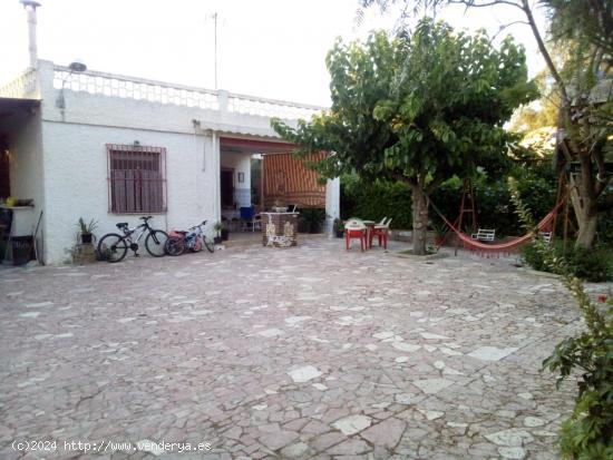 VENDE CASA DE CAMPO EN LLANO DE SAN JOSE- ELCHE - ALICANTE