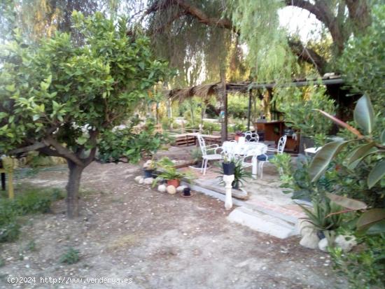 VENDE CASA DE CAMPO EN LLANO DE SAN JOSE- ELCHE - ALICANTE