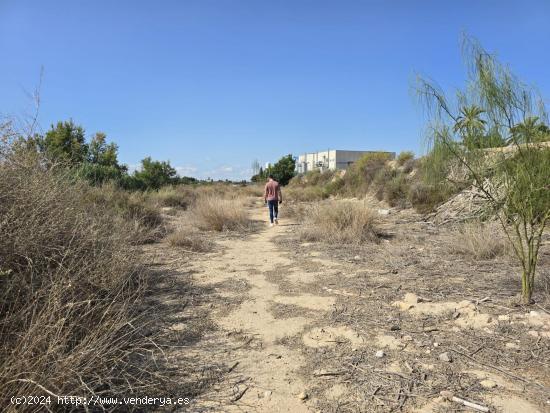  ¡TERRENO A 5 MINUTOS DE ELCHE! - ALICANTE 