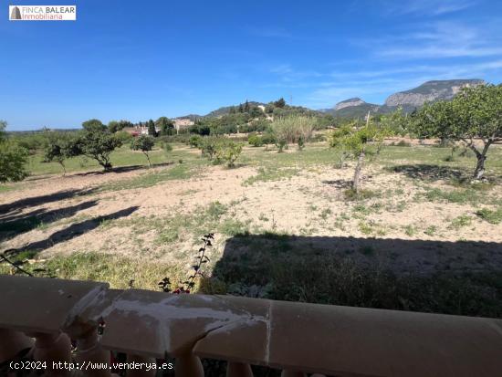 Finca Rústica en Lloseta, con cédula de habitabilidad - BALEARES