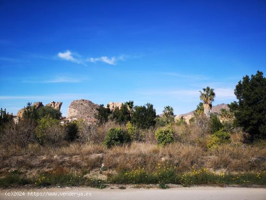 Se vende parcela en la Cueva, Monteagudo. - MURCIA