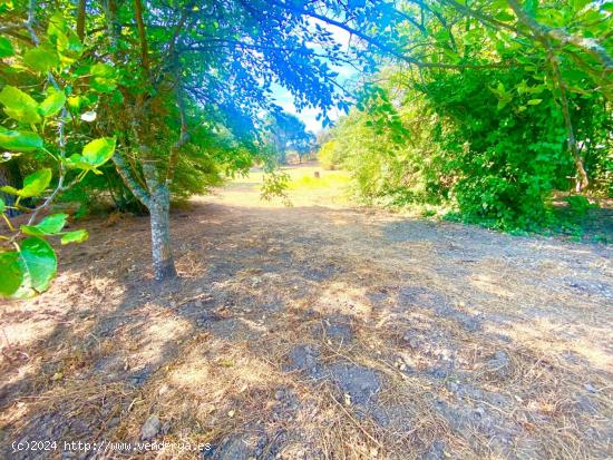 ZONA TRASSIERRRA- Parcela de terreno de 3.000 m2 con escrituras independientes.y pozo. - CORDOBA