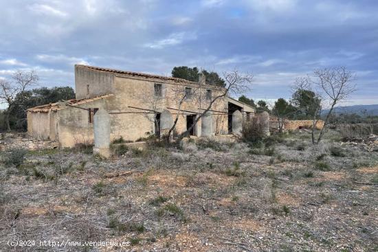 Finca de 56.000m2 con varias edificaciones para reformar en la zona del Burgà (Perelló). - TARRAGO