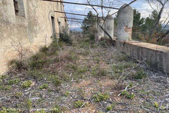 Finca de 56.000m2 con varias edificaciones para reformar en la zona del Burgà (Perelló). - TARRAGO