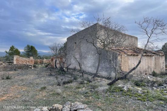 Finca de 56.000m2 con varias edificaciones para reformar en la zona del Burgà (Perelló). - TARRAGO