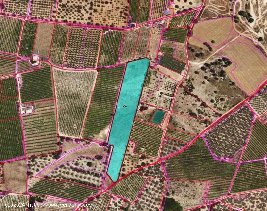  TERRENO RUSTICO EN VENTA - TARRAGONA 