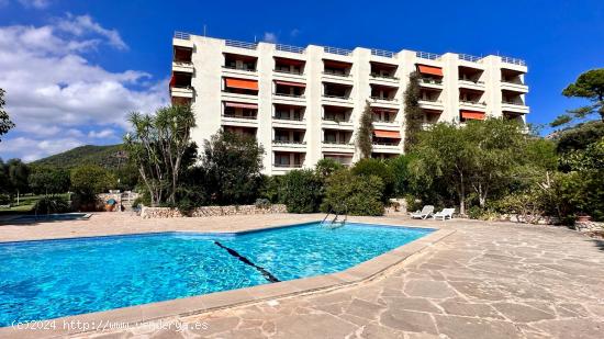 Apartamento en Golf Son Servera, reformado - BALEARES