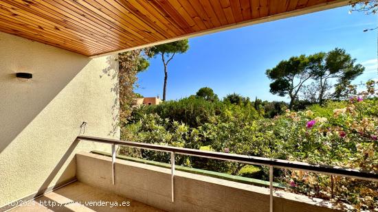 Apartamento en Golf Son Servera, reformado - BALEARES