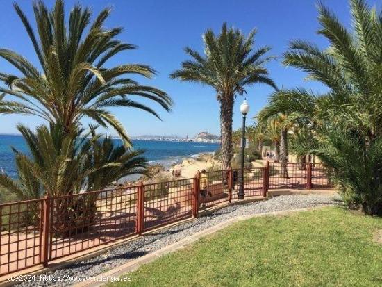 Se Vende en San Juan Playa - ALICANTE