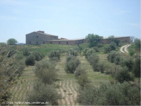  VENTA FINCA RUSTICA CON CORTIJO Y NAVE - MURCIA 