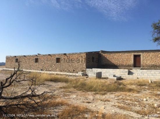 VENTA FINCA RUSTICA CON CORTIJO Y NAVE - MURCIA