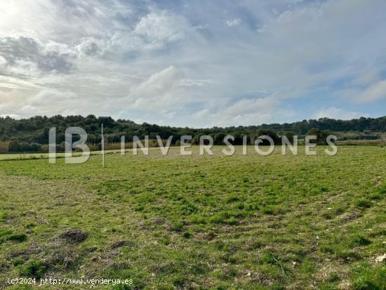 Terreno rústico en venta en Sant Llorenç - BALEARES