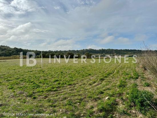 Terreno rústico en venta en Sant Llorenç - BALEARES