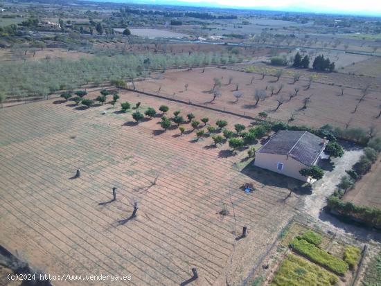 Finca rústica en Porreres - BALEARES