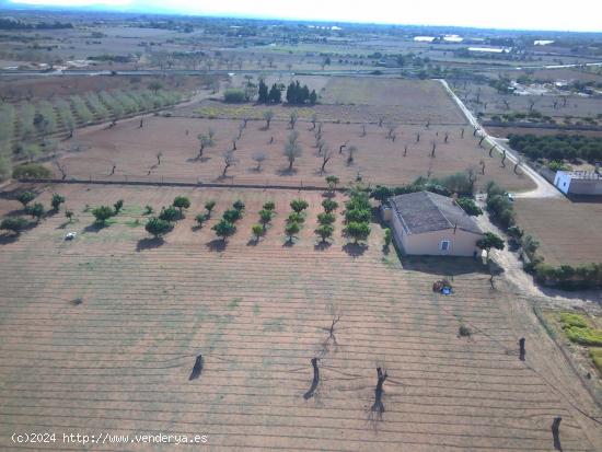 Finca rústica en Porreres - BALEARES